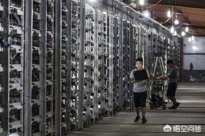 A large-scale mining farm showcasing multiple rigs in action