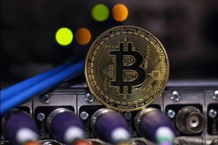 Bitcoin miners working in a large facility